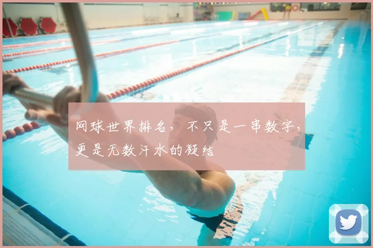 网球世界排名，不只是一串数字，更是无数汗水的凝结