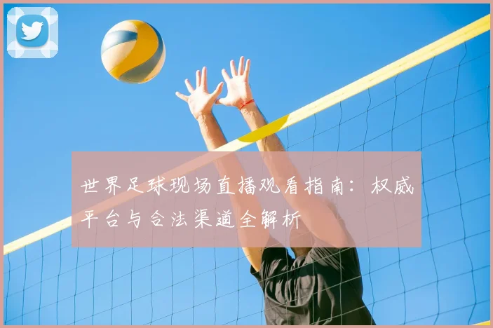 世界足球现场直播观看指南：权威平台与合法渠道全解析