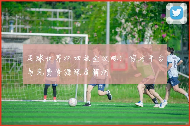 足球世界杯回放全攻略：官方平台与免费资源深度解析