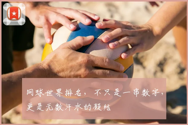 网球世界排名，不只是一串数字，更是无数汗水的凝结